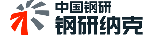 NCS LOGO